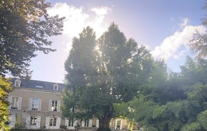 Ginkobiloba