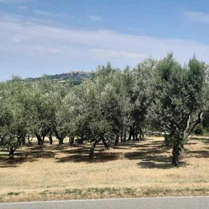 TOSCANE 2026